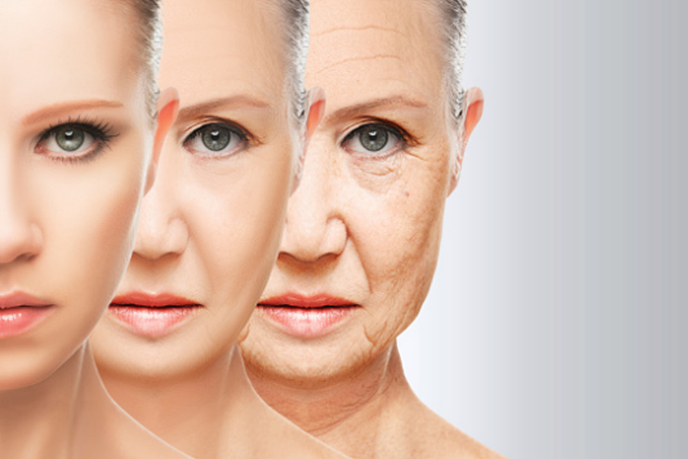 Anti-Aging